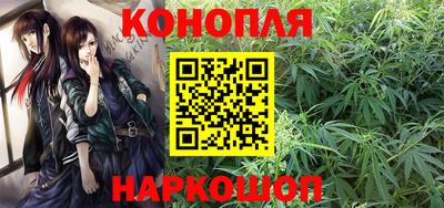 гидра Новодвинск