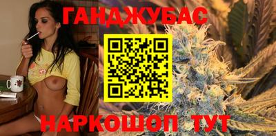 гидра Новодвинск