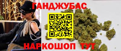 гидра Новодвинск