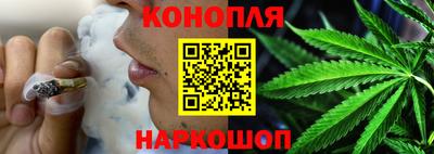 гидра Новодвинск