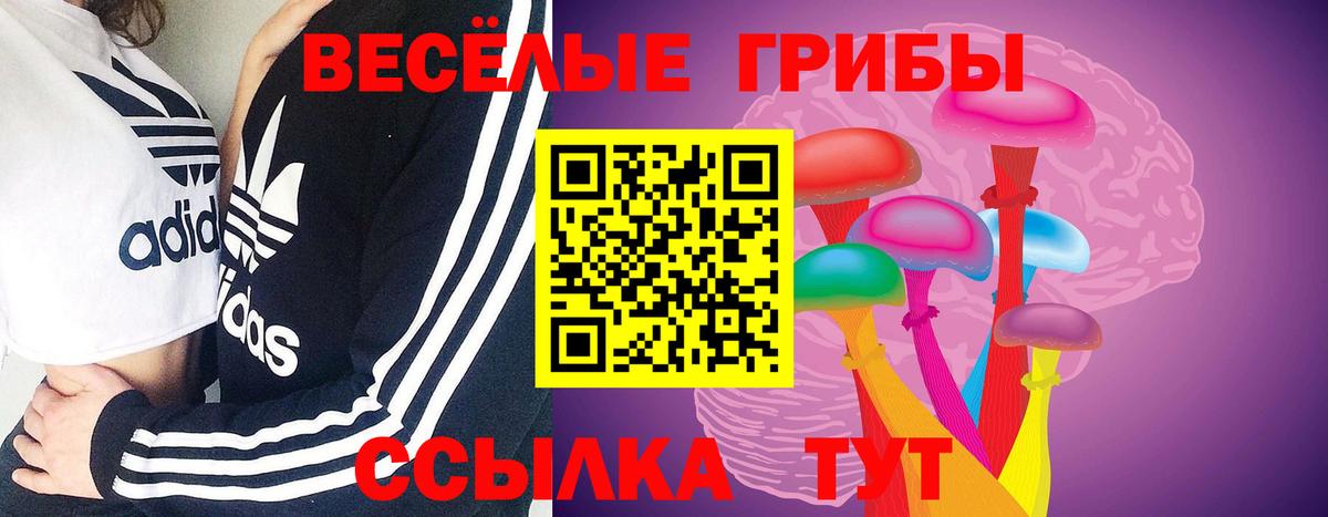 Пушкино  Галлюциногенные грибы мицелий  Вход с VPN 